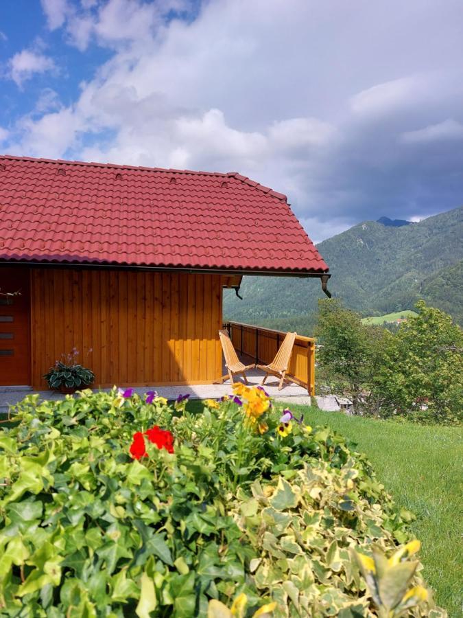Pocitniska Hiska Lastovka Podvolovljek Esterno foto