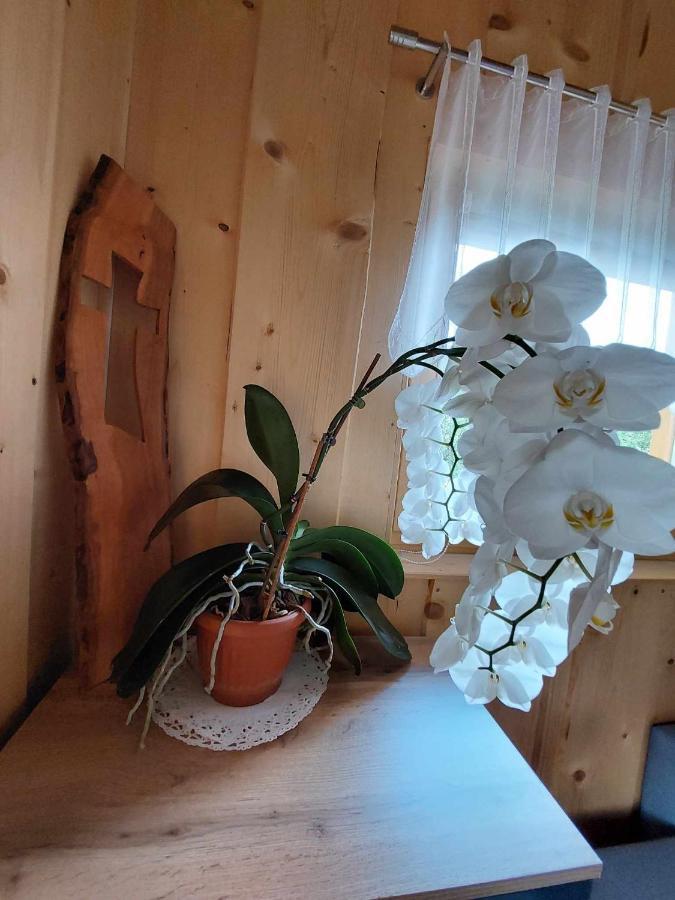Pocitniska Hiska Lastovka Podvolovljek Esterno foto